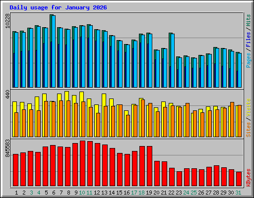 Daily usage for January 2026