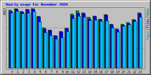 Hourly usage for November 2020