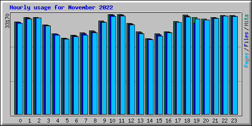 Hourly usage for November 2022