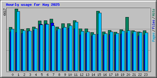 Hourly usage for May 2025