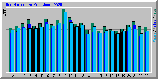 Hourly usage for June 2025