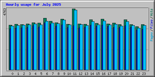 Hourly usage for July 2025