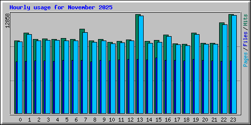 Hourly usage for November 2025
