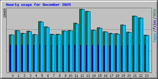 Hourly usage for December 2025