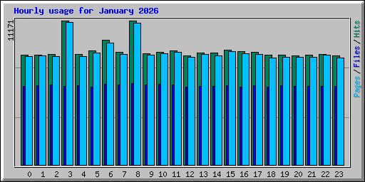 Hourly usage for January 2026